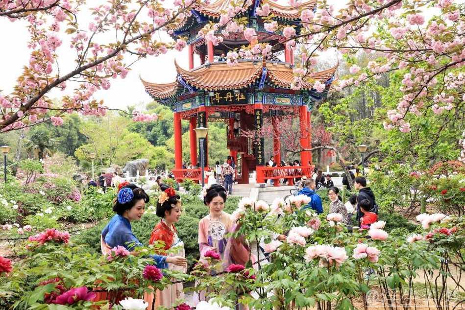 清明假期文旅融合热点：春游赏花观景成消费新亮点