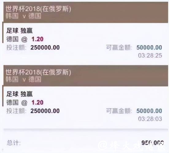 高赔率世界杯买球平台推荐，稳赚攻略